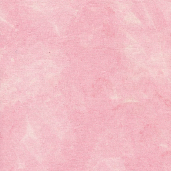 [Carnation] Carnation