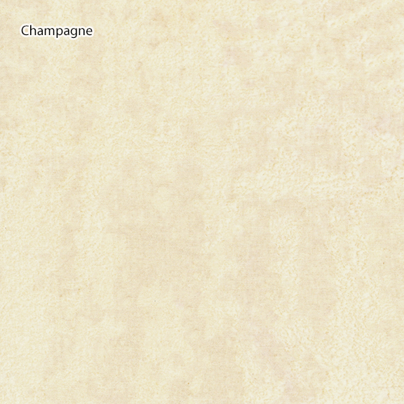 [Champagne] Champagne