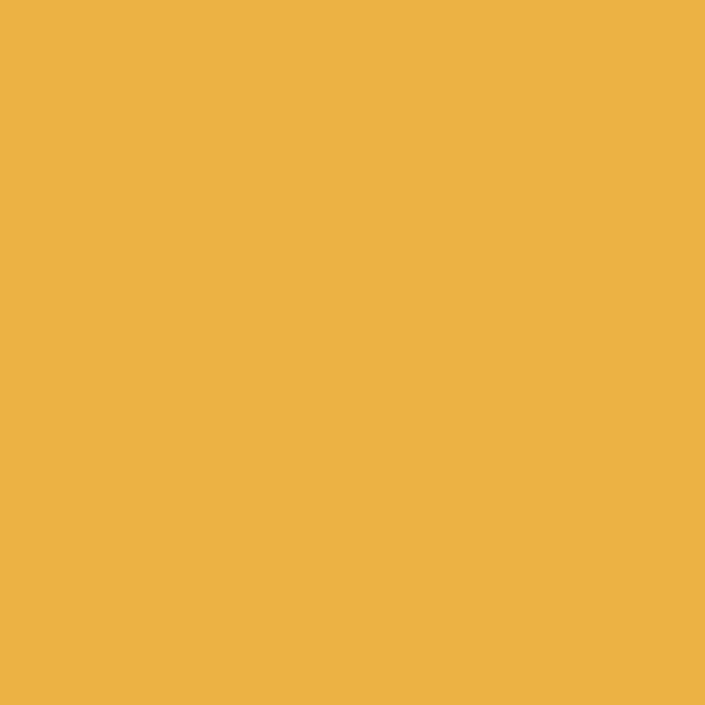 [EC-240] EC-240 / Goldenrod