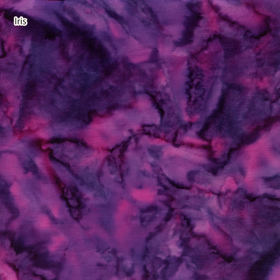 [Iris] Iris