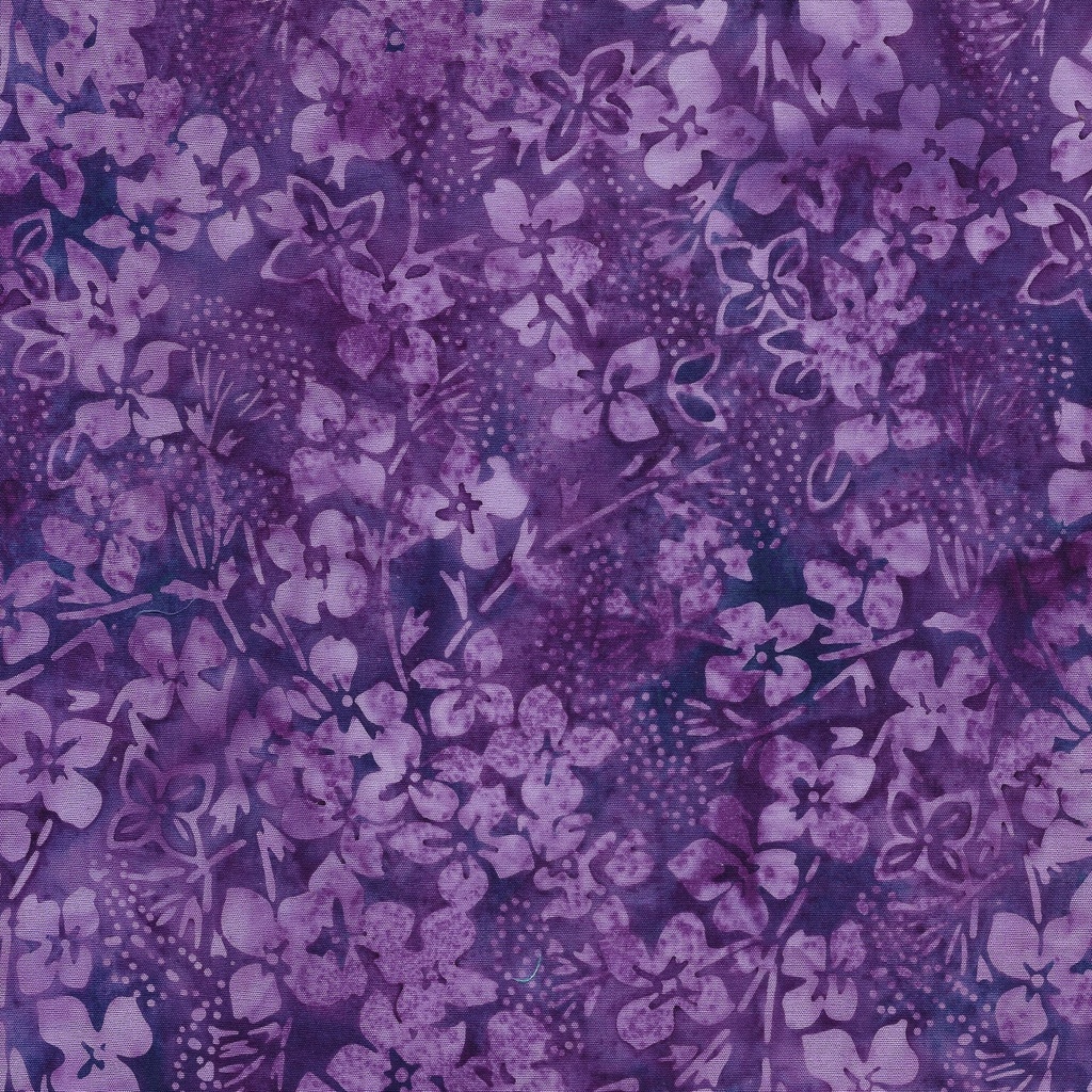 112405430 / Hydrangea-Purple Jelly