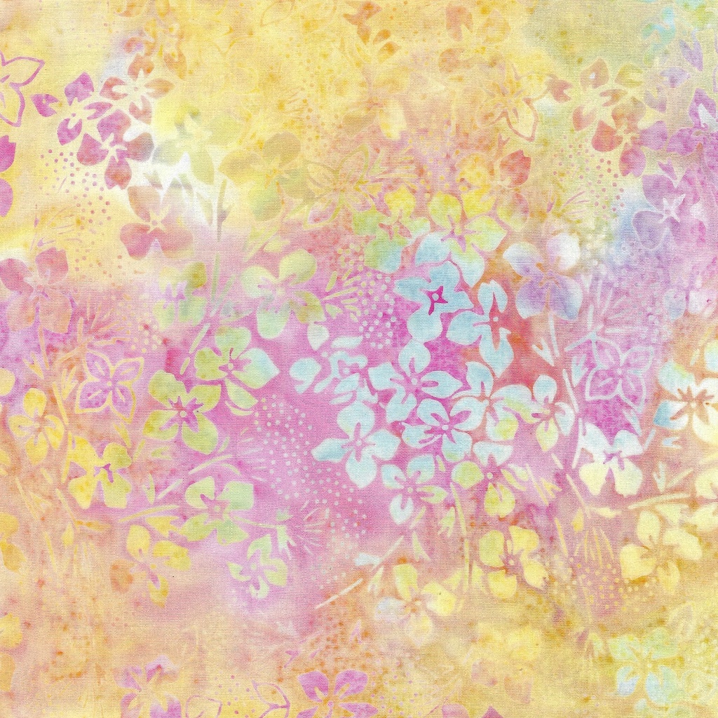 112405801 / Hydrangea-Multi Pink Yellow