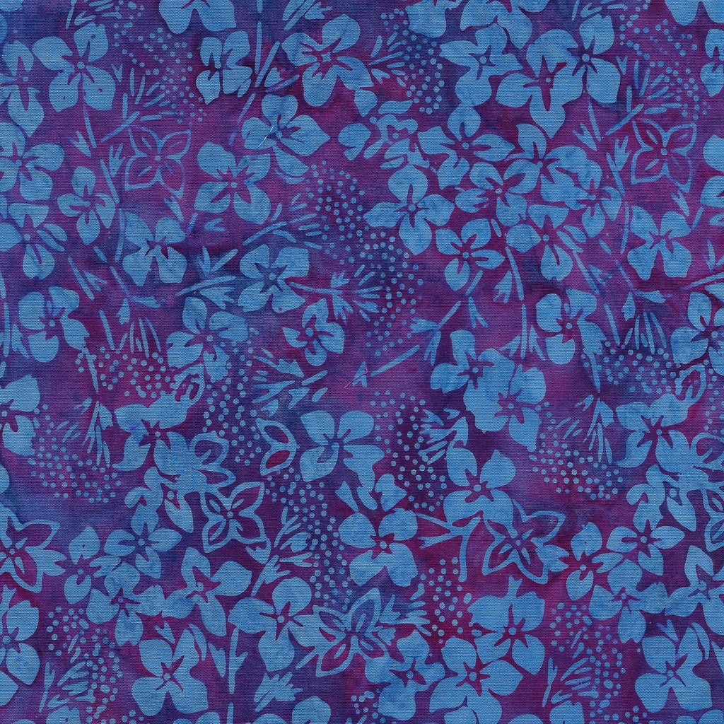 [112405895] 112405895 / Hydrangea-Multi Purple Magenta