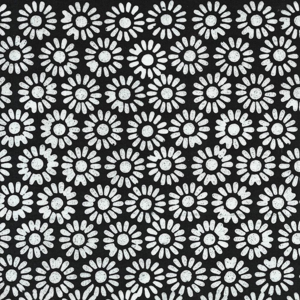 112431793 / Medium Daisy-Black Midnight