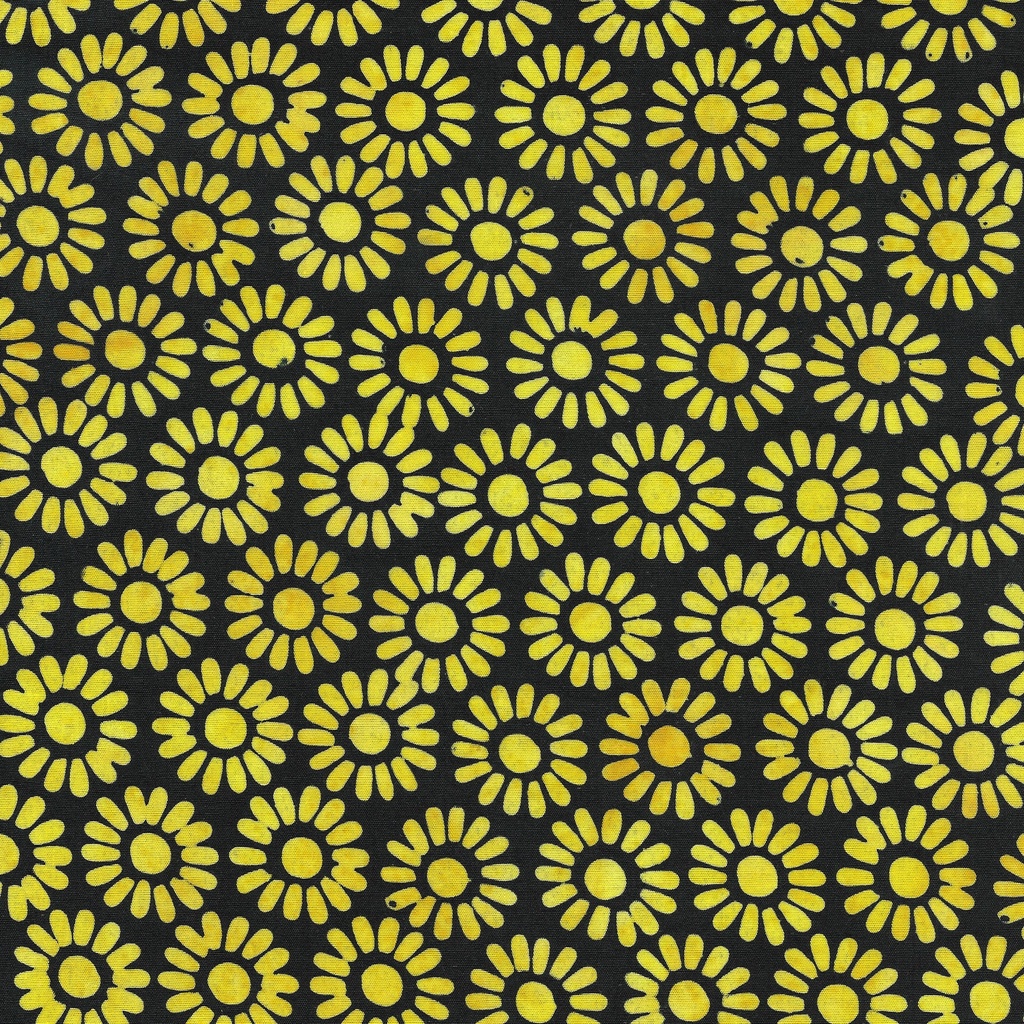112431795 / Medium Daisy-Black