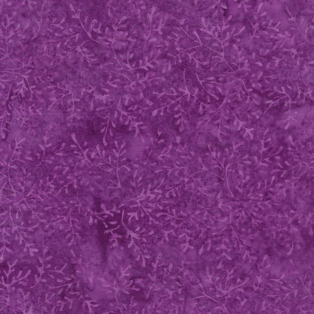 112435480 / Sprig Thyme-Purple Wine