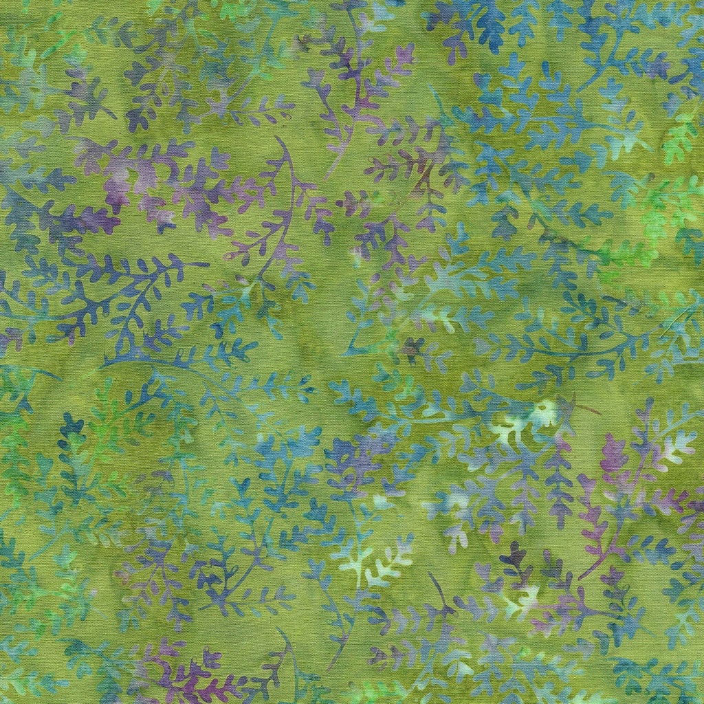 [112435625] 112435625 / Sprig Thyme-Green Seedling