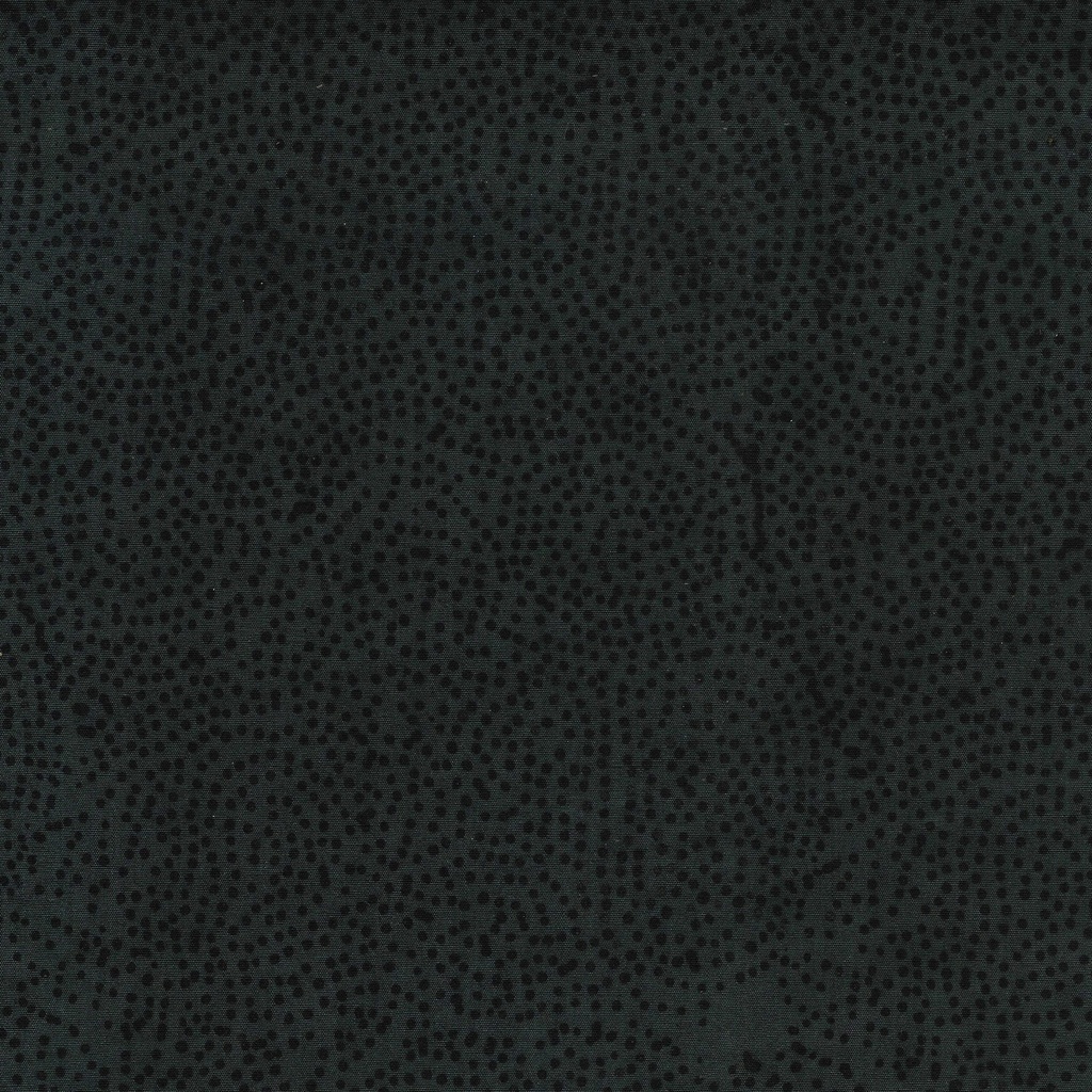 112438796 / Paisley Dots-Black Grey