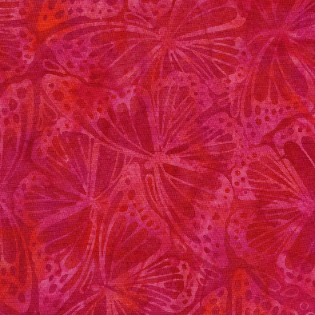 112503155 / Monarch Wings-Pink Punch