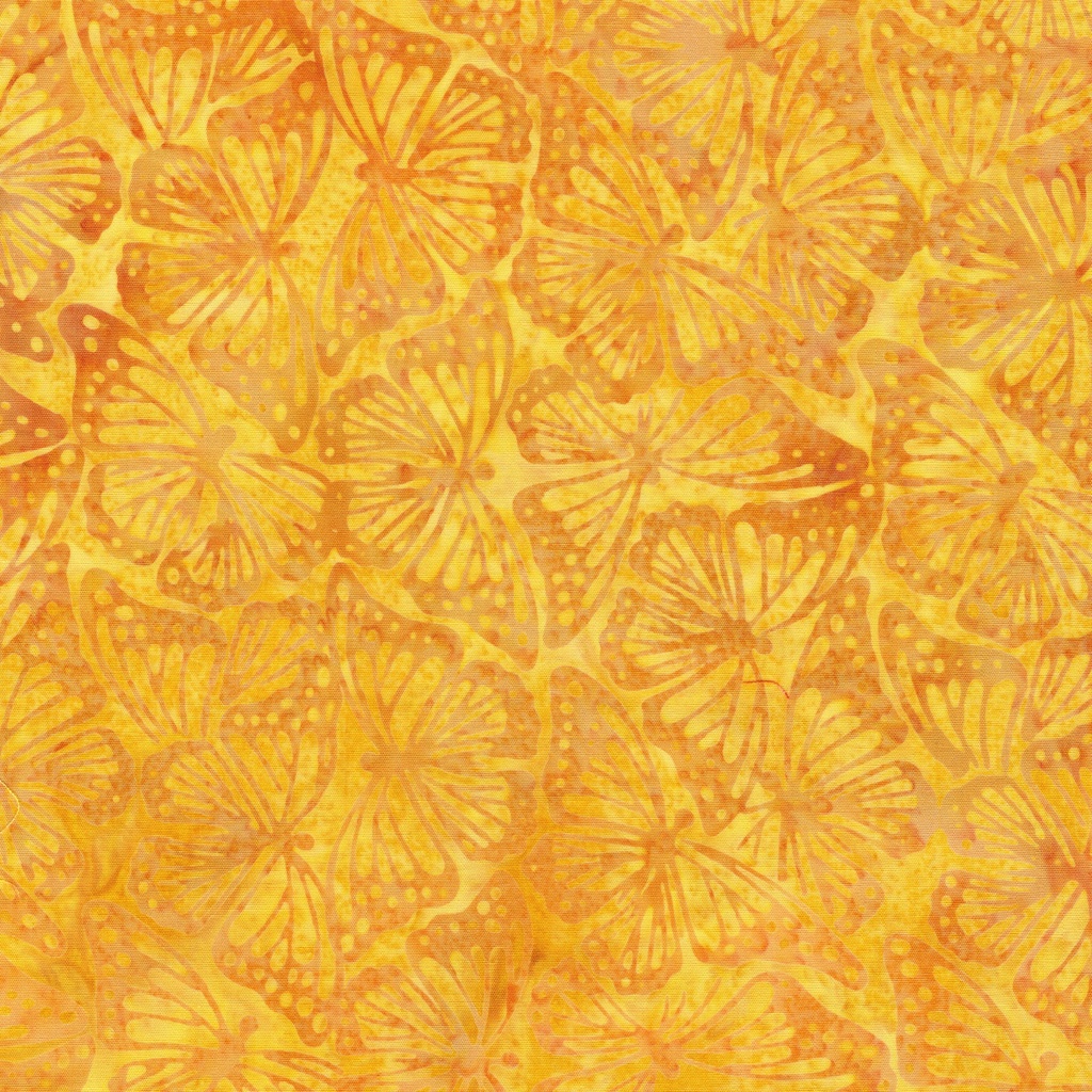 112506235 / Monarch-Yellow Honey