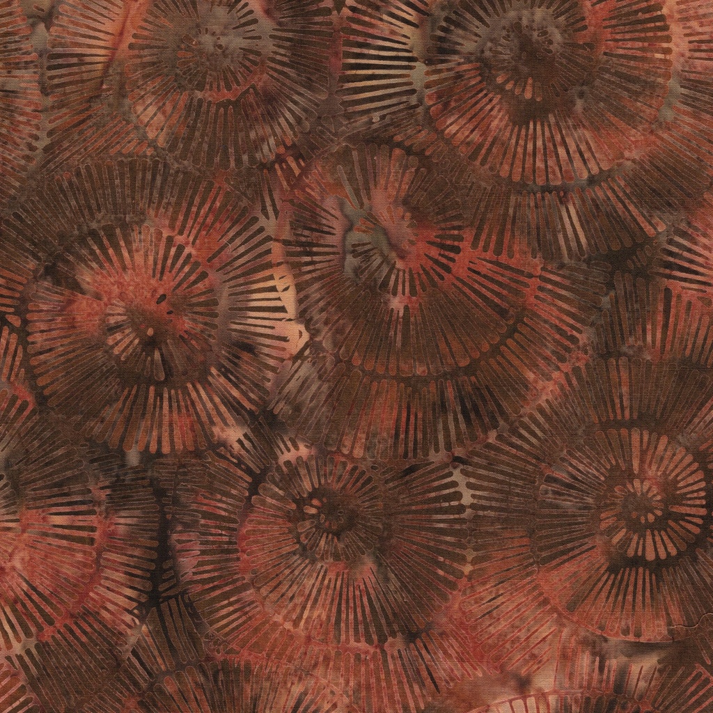112518078 / Fossil Spiral-Brown Bronze