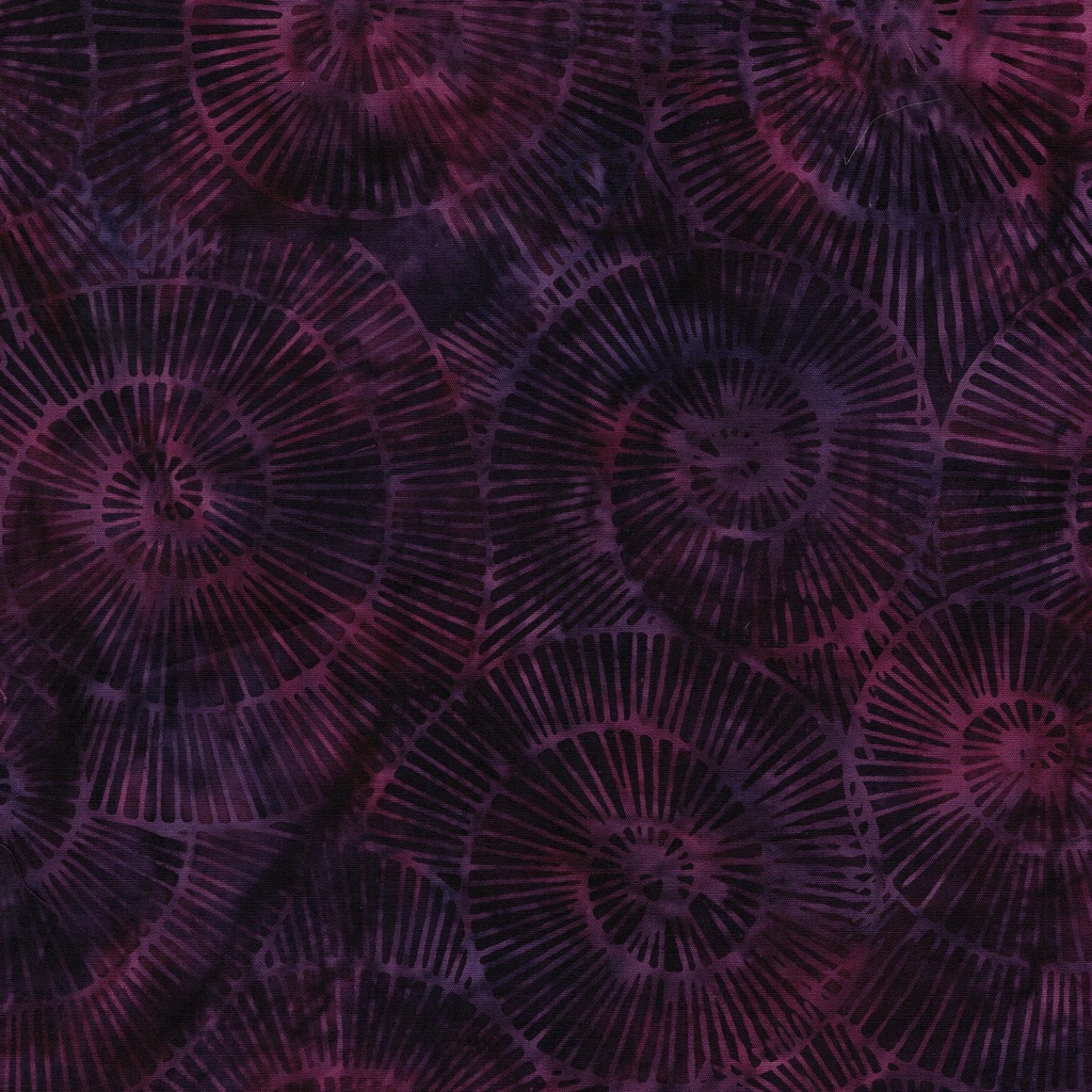 [112518490] 112518490 / Fossil Spiral-Purple Blackberry