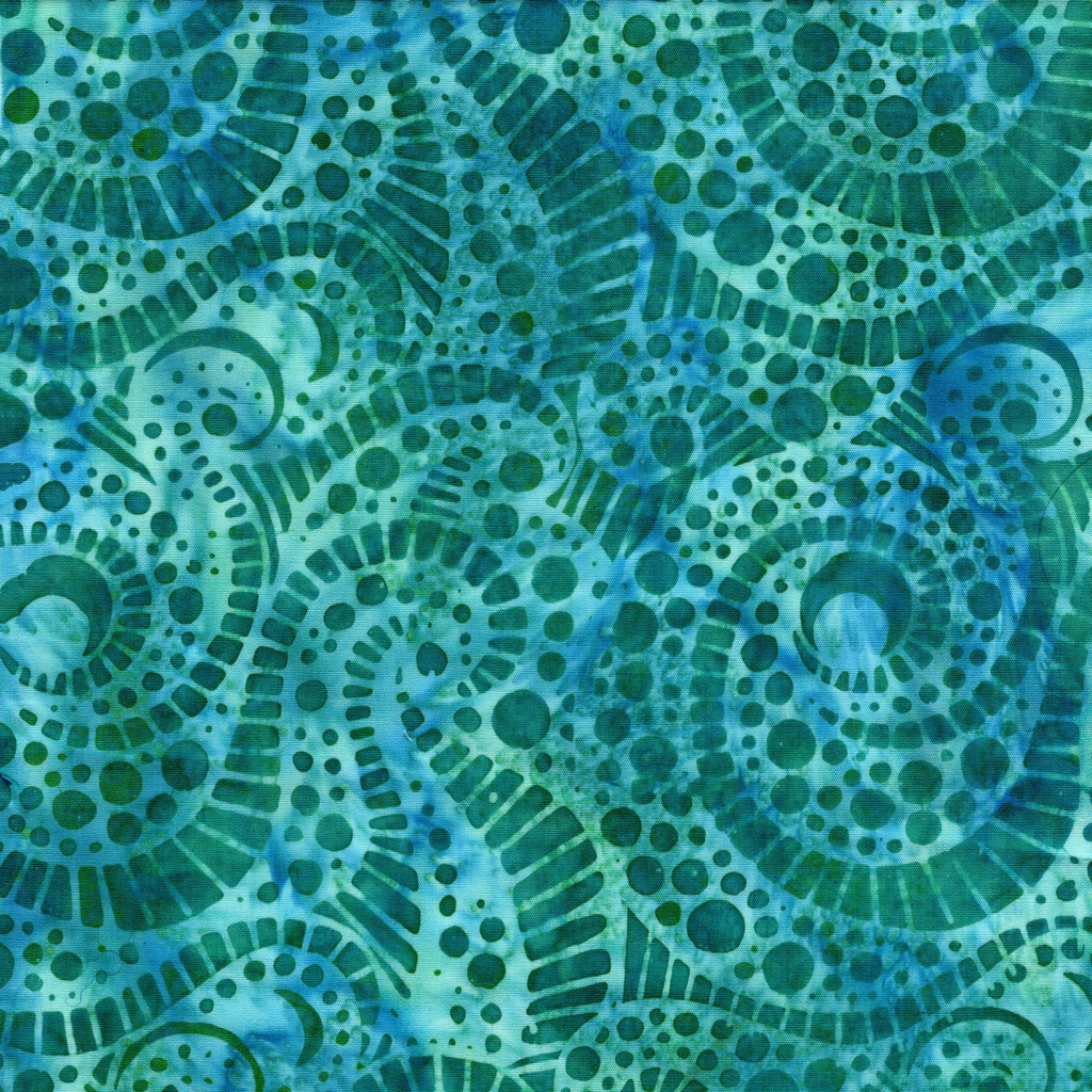 112523970 / Moonstone-Teal Parakeet