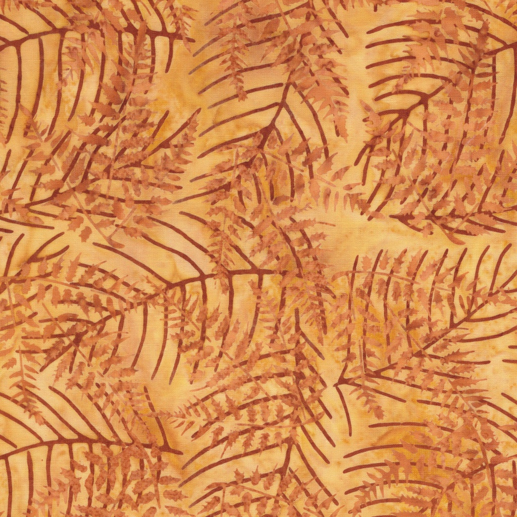 112616063 / Ferns-Brown Limestone