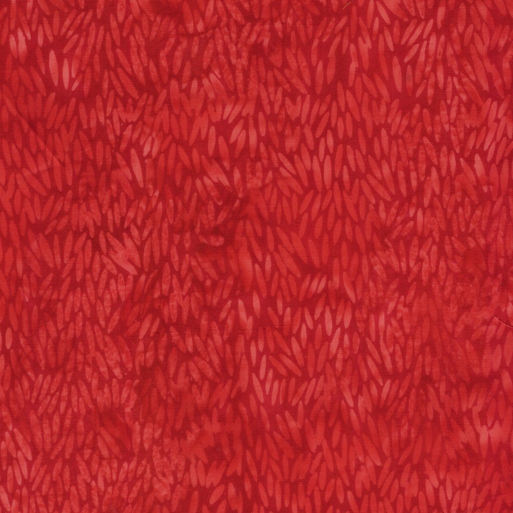 [112634360] 112634360 / Seeds-Red Cherry