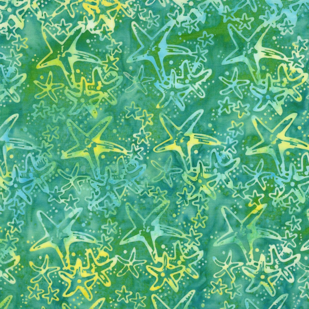112637970 / Starfish-Teal Parakeet
