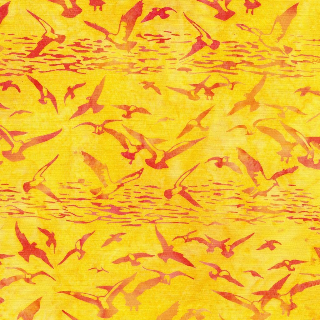 112638247 / Seagulls-Orange Daffodil