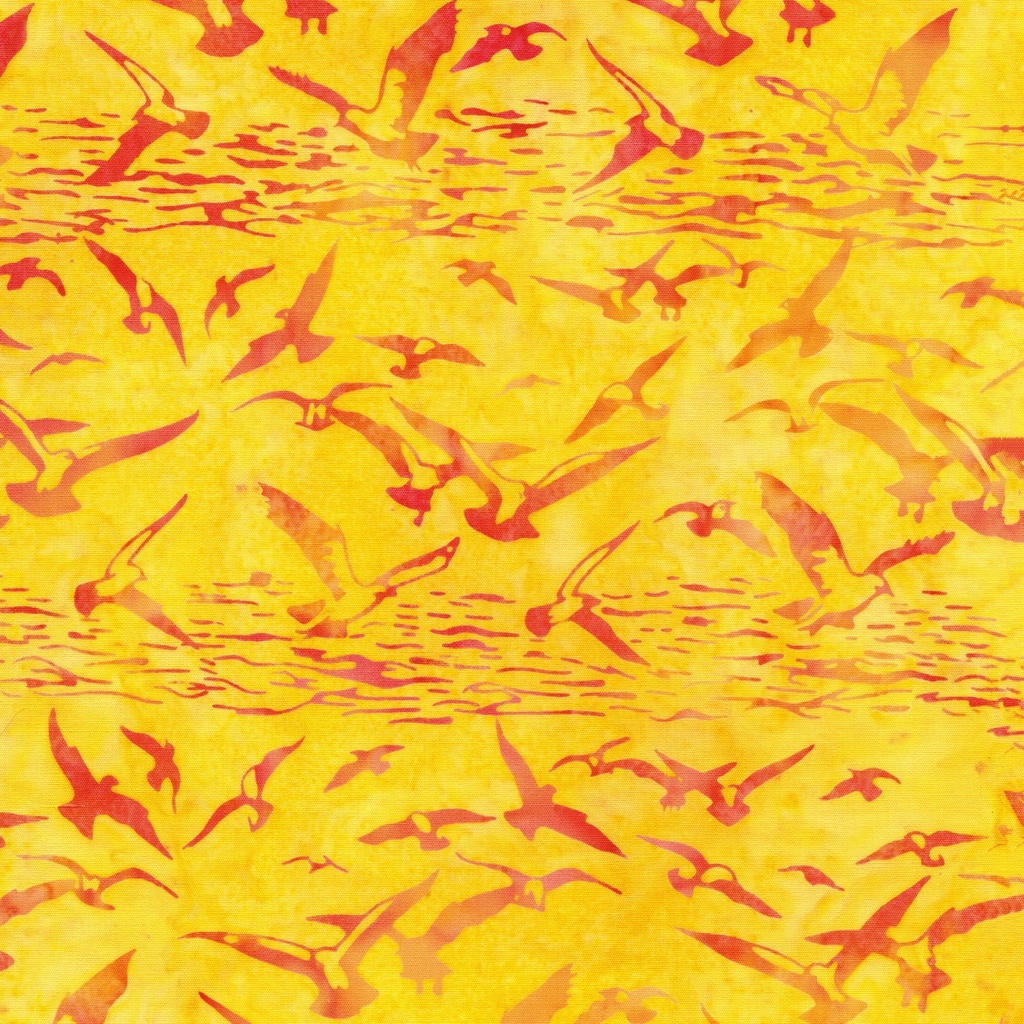 112638247 / Seagulls-Orange Daffodil