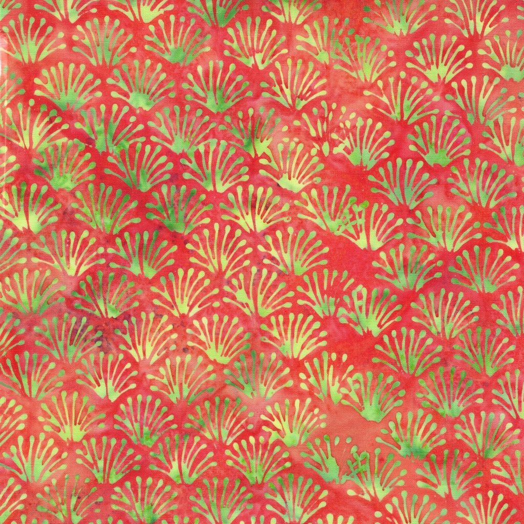 [112648335] 112648335 / Fans--Red Coral