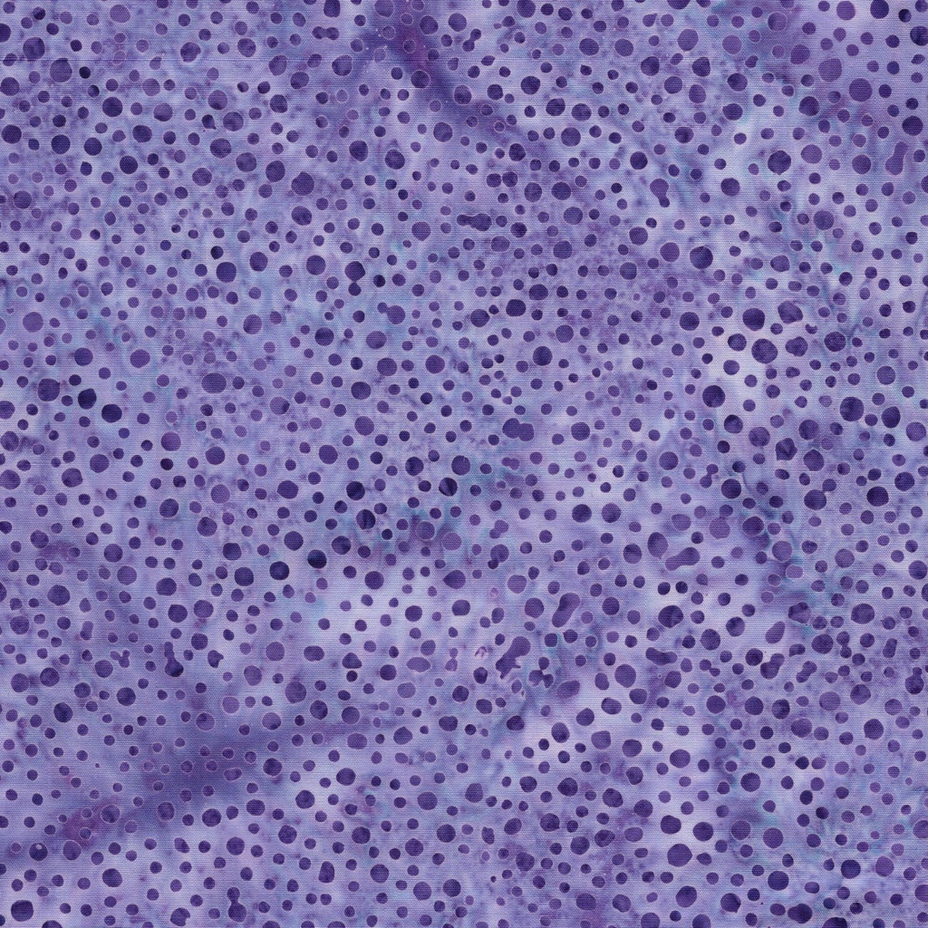 112680410 / Mini Dot-Purple Foxglove