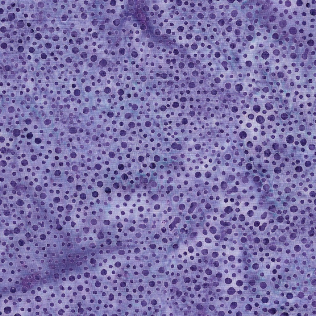 112680410 / Mini Dot-Purple Foxglove