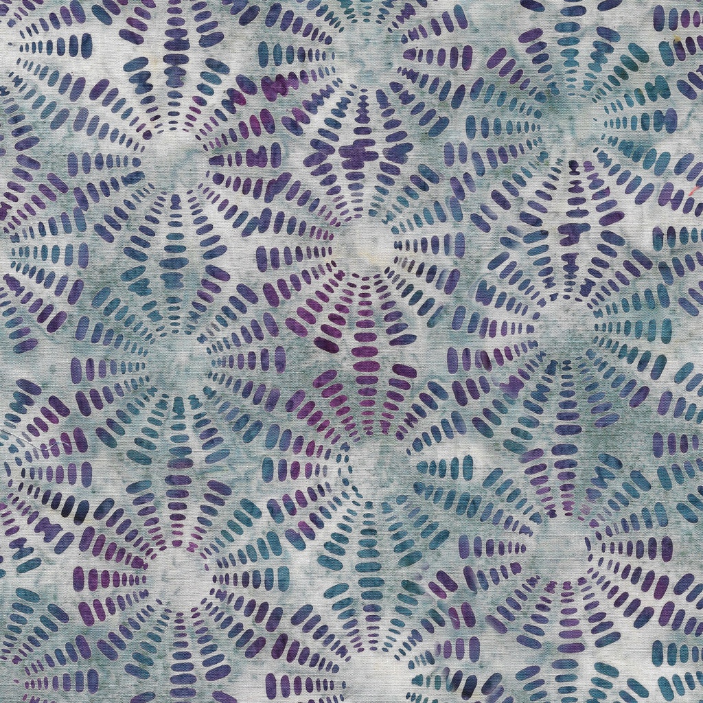 [122318513] 122318513 / Sonic-Blue Shark