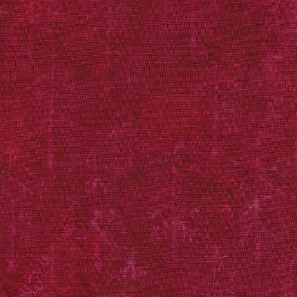 [122333370] 122333370 / Pinetrees-Red Cardinal
