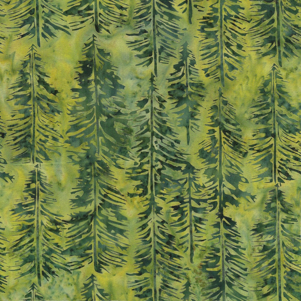 122336645 / Evergreen-Green Ivy