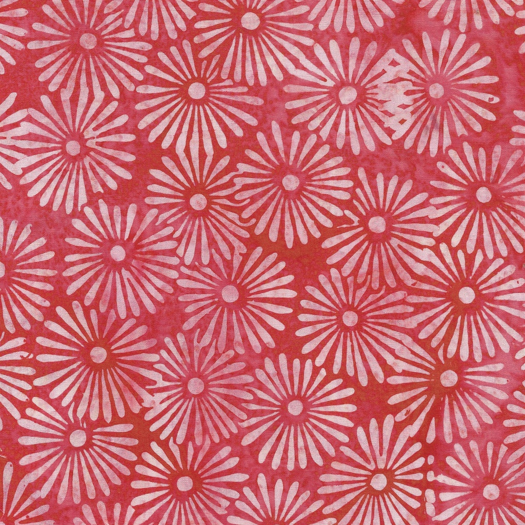 [122421155] 122421155 / Daisy-Pink Punch