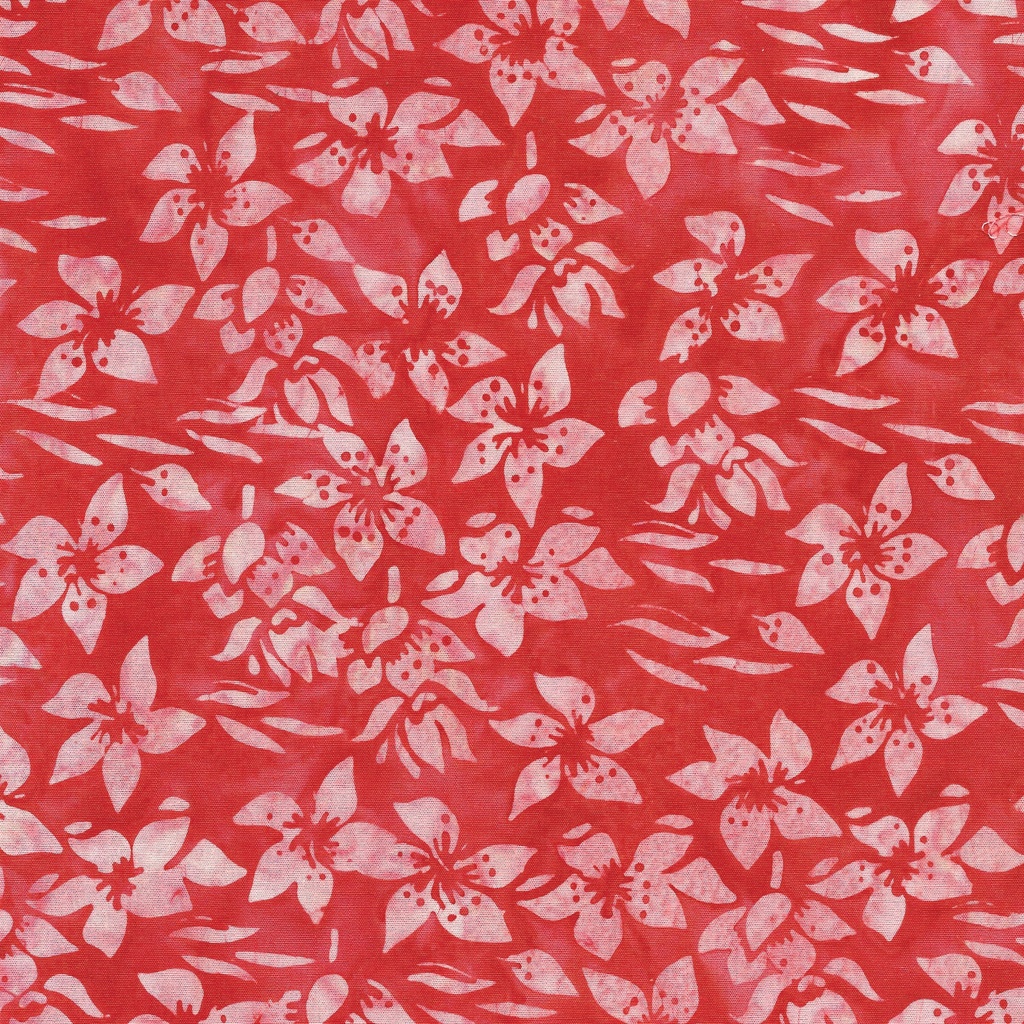 122422155 / Helleborus-Pink Punch