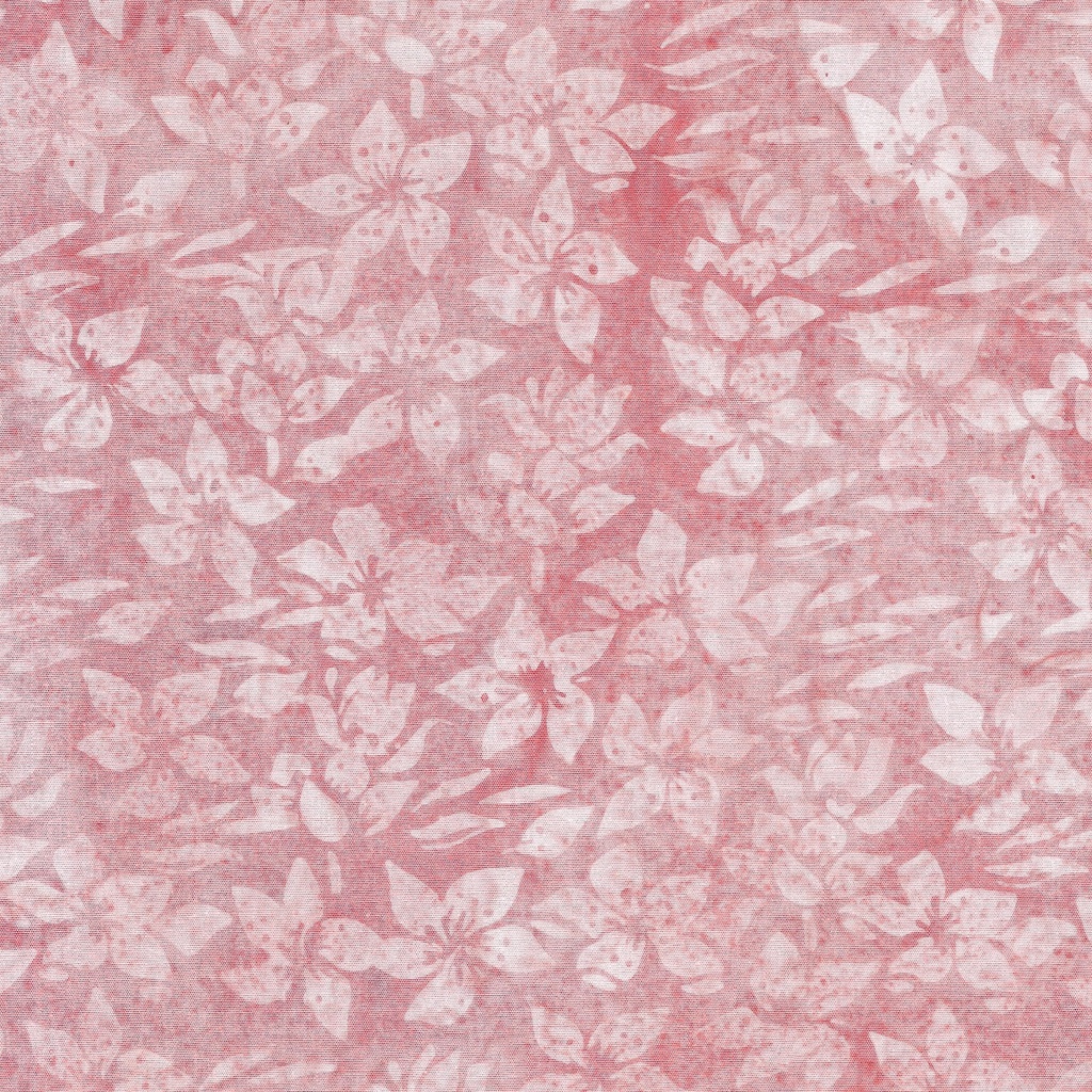 122422305 / Helleborus-Red Shell