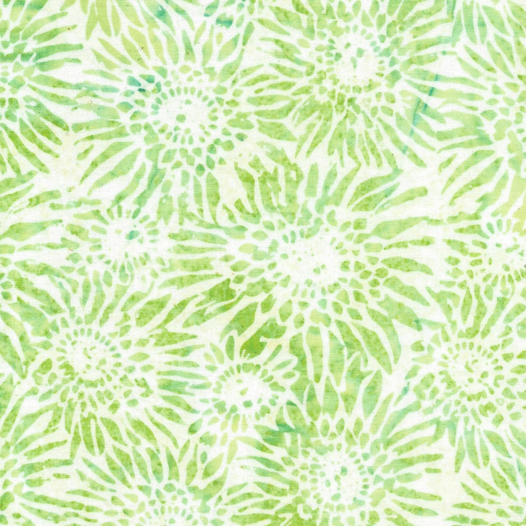 122423700 / Gerbera Daisy-White