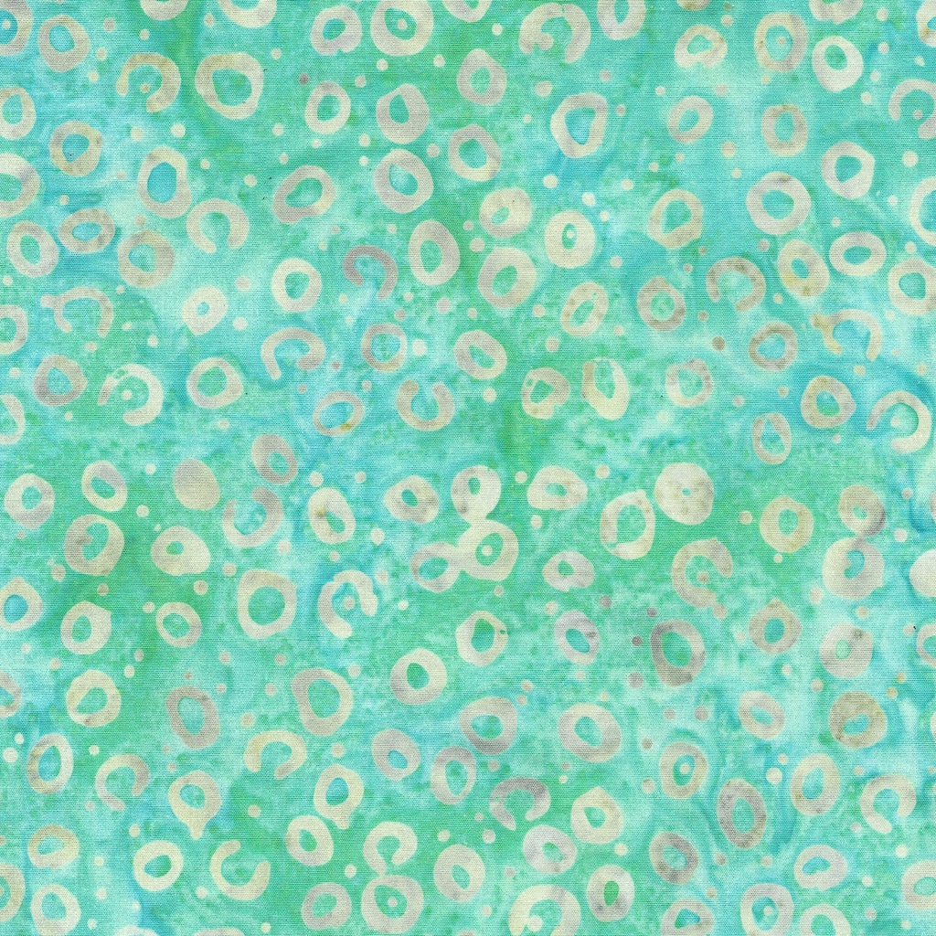 [122441965] 122441965 / Round and Round-Teal Chameleon