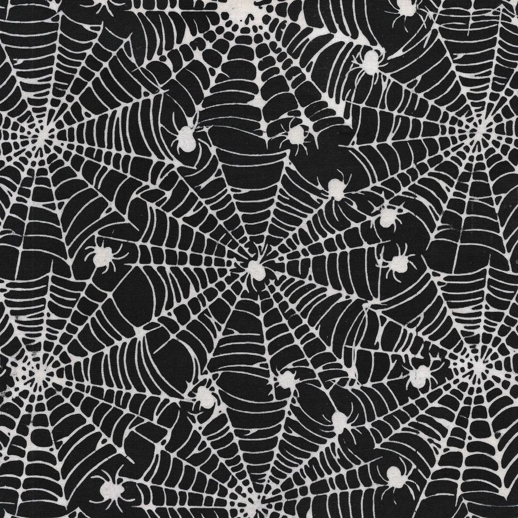 122467707 / Spider Web-Black