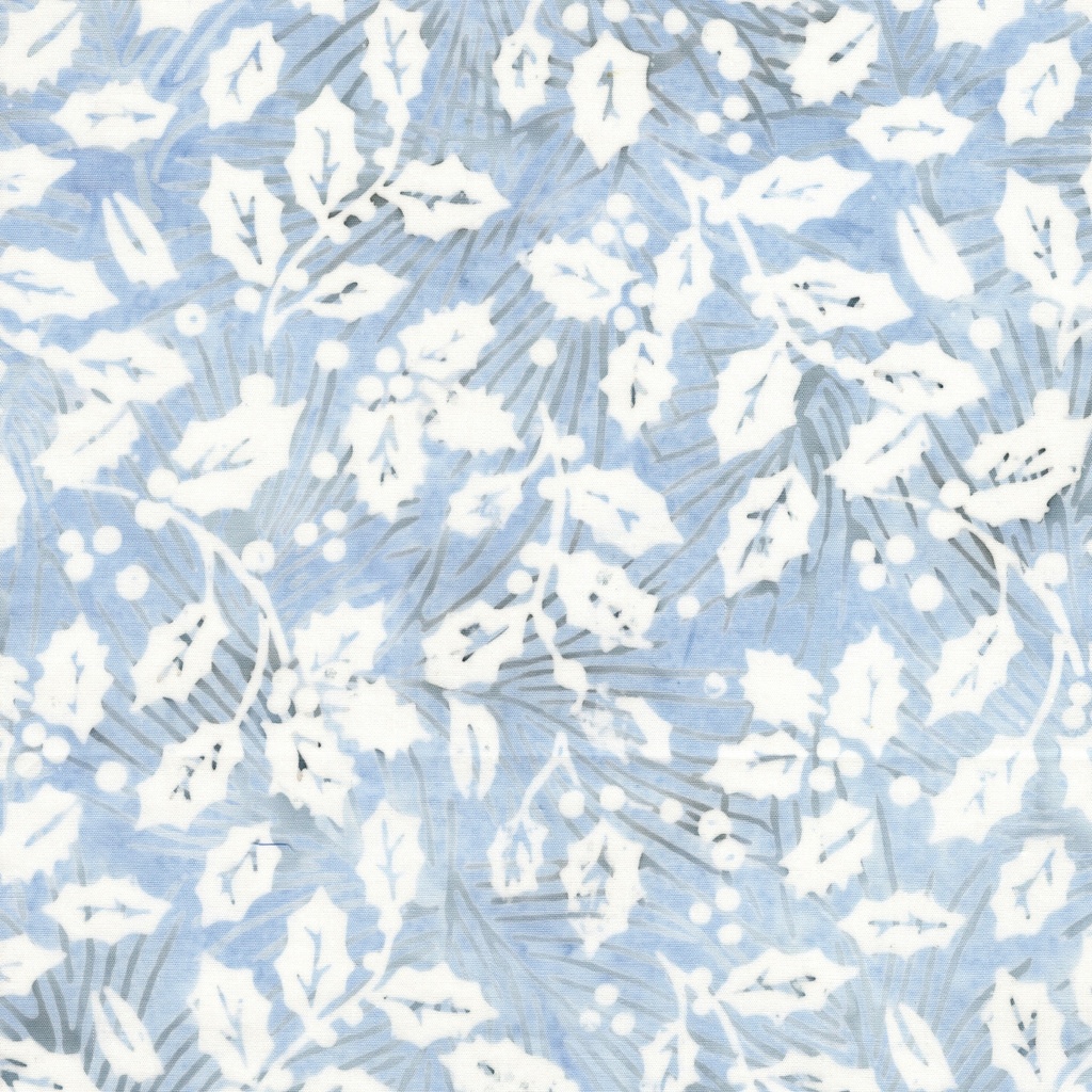 122510510 / Holly  Blue Sky