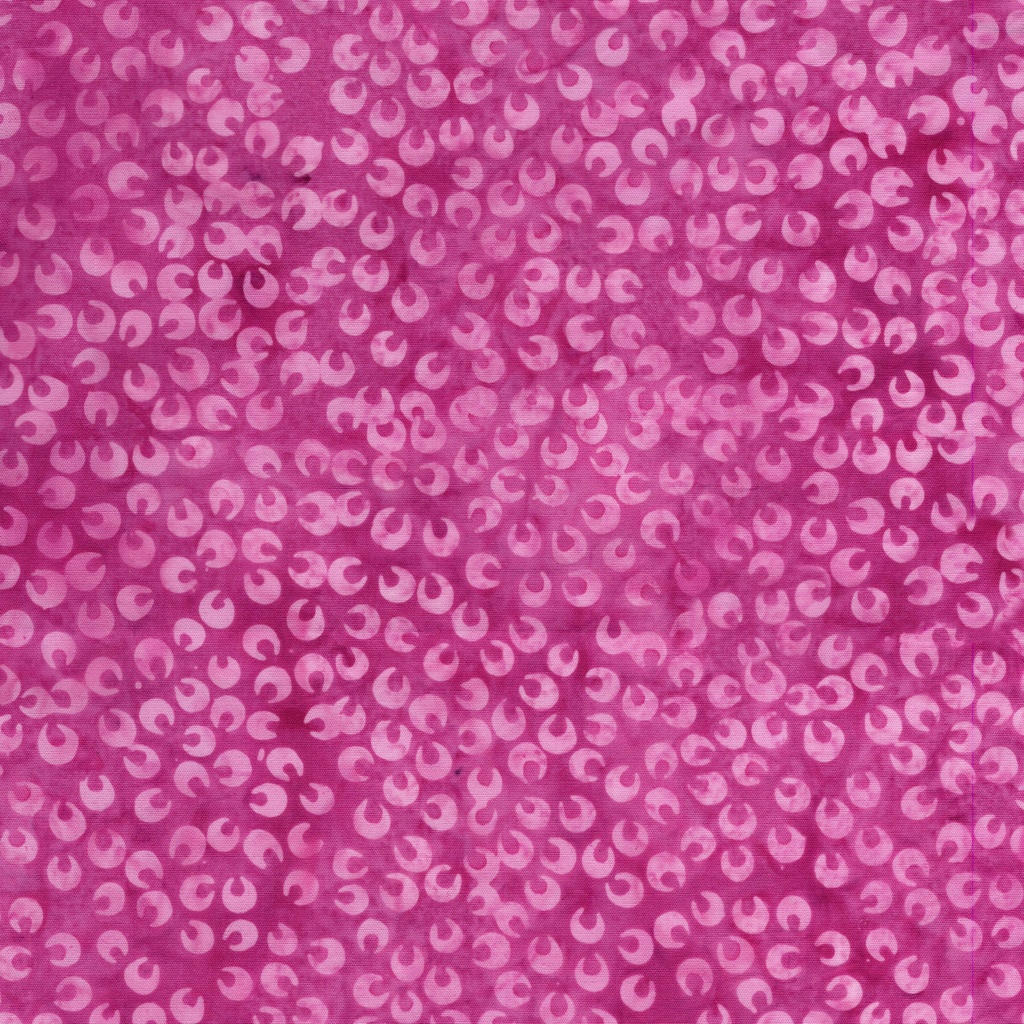 122523130 / Small Petals Pink Camelia