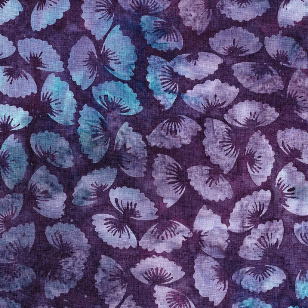 122536485 / Medium Petals Purple Boysenberry