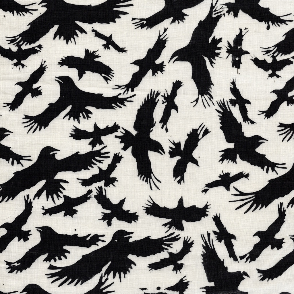 122550700 / Ravens White