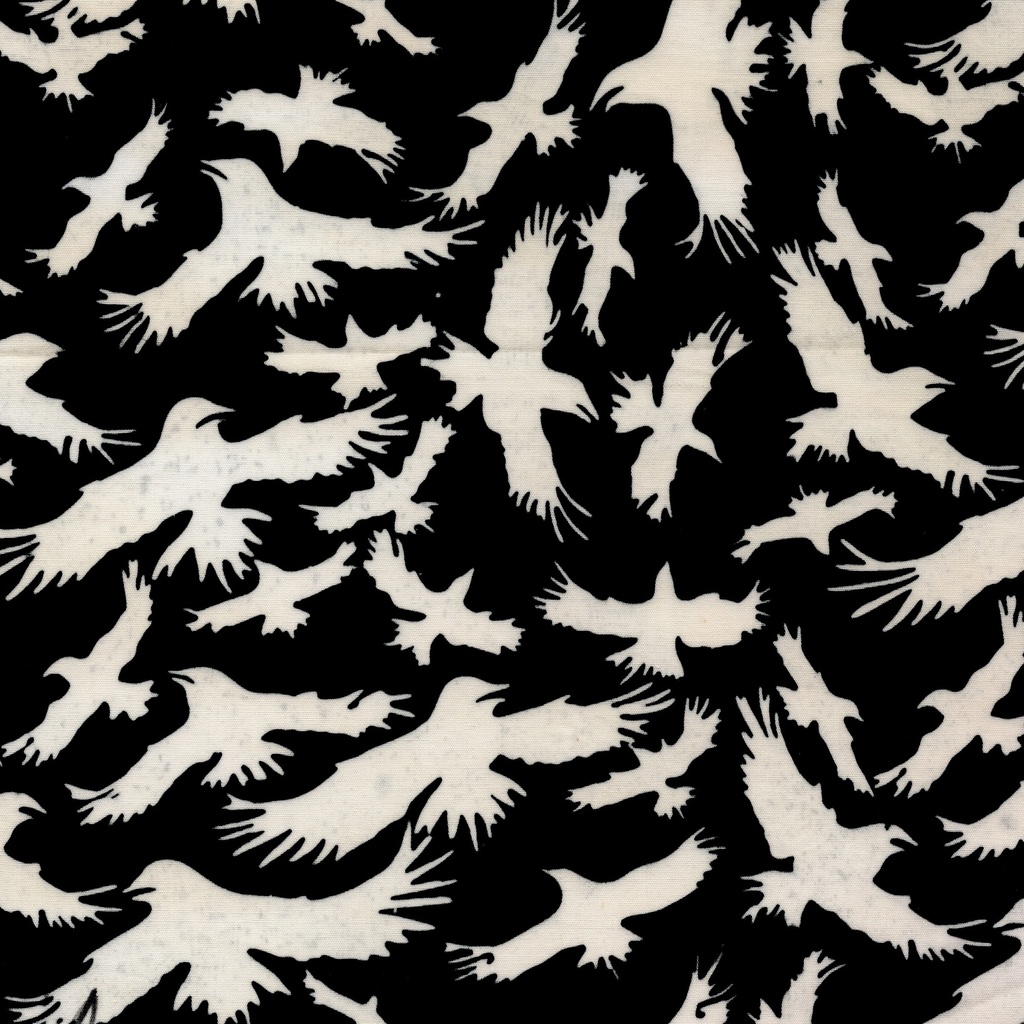 122550795 / Ravens Black