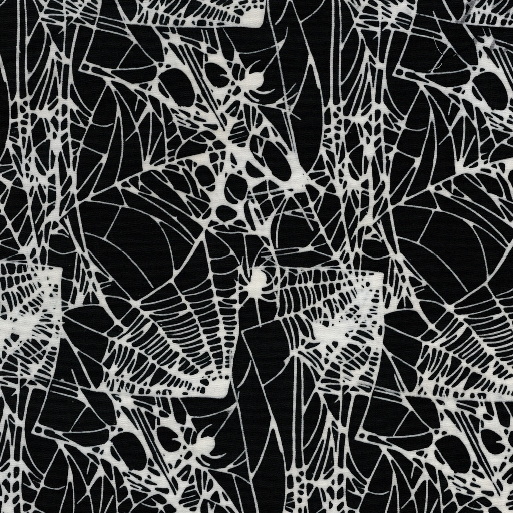 122551707 / Spiders and Webs Black