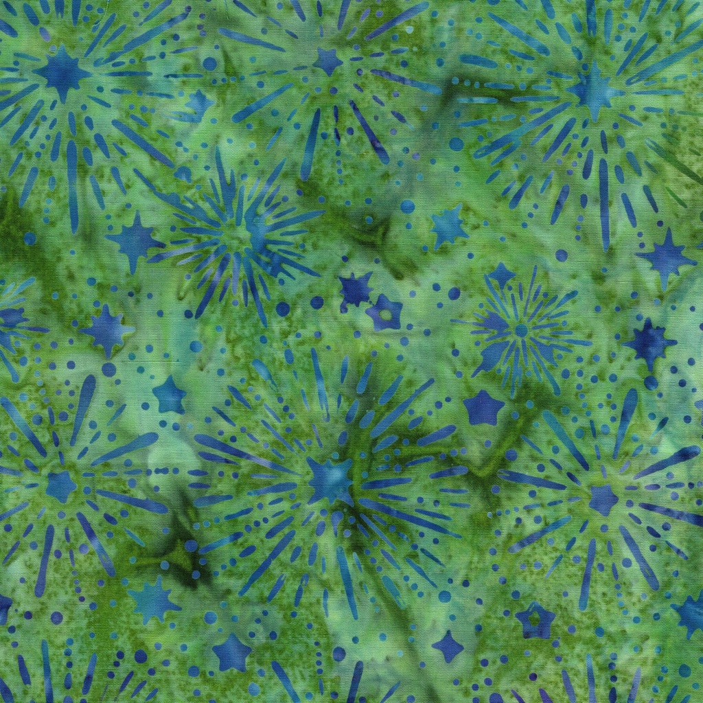 122564650 / Sunburst Stars Green Gecko