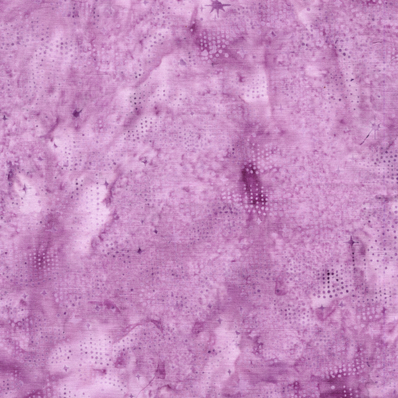 122566120 / Night Sky Pink Petunia