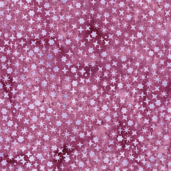 122568130 / Assorted Stars Pink Camelia