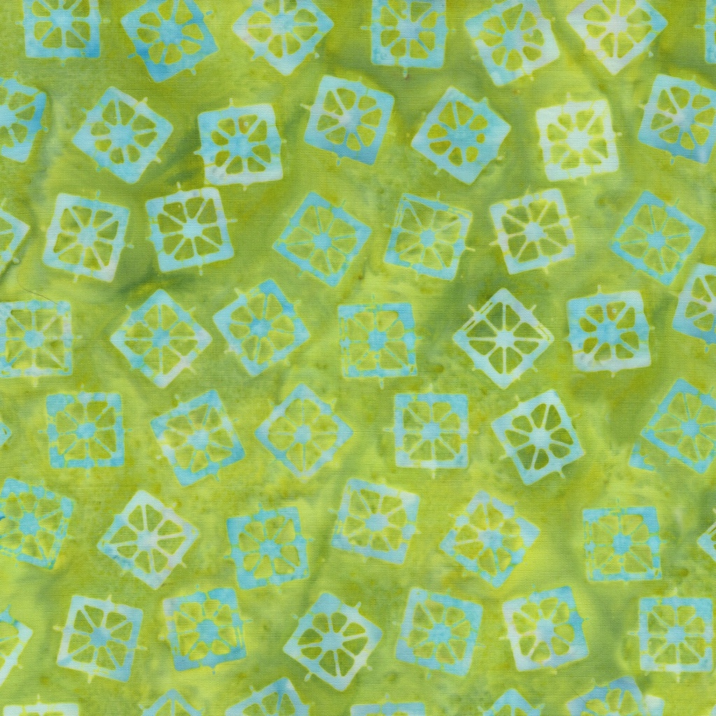 412502630 / Lantern-Green Lemongrass