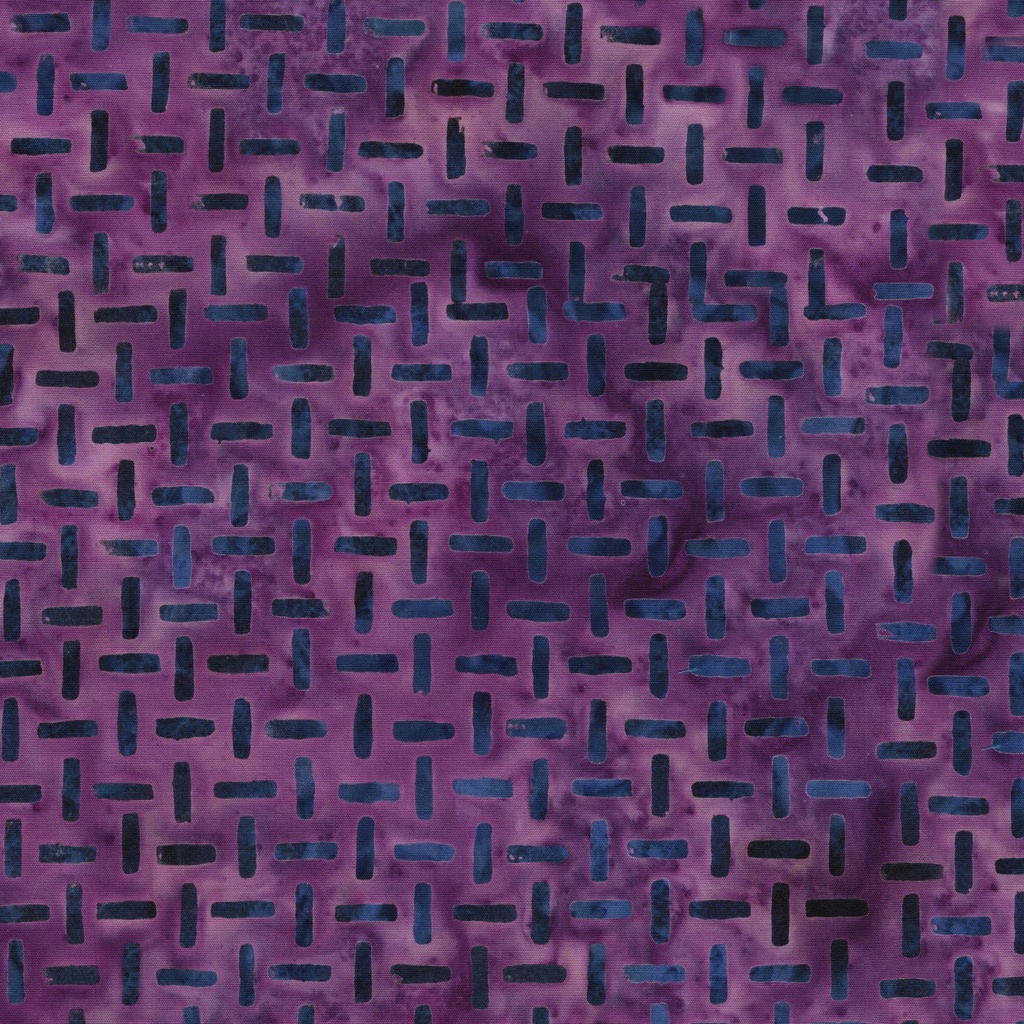 412503420 / Path-Purple Urchin
