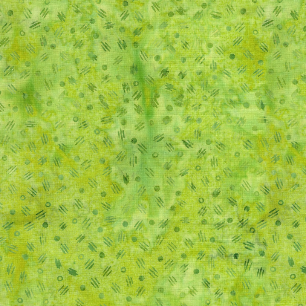 422506630 / Seeds Green Lemongrass