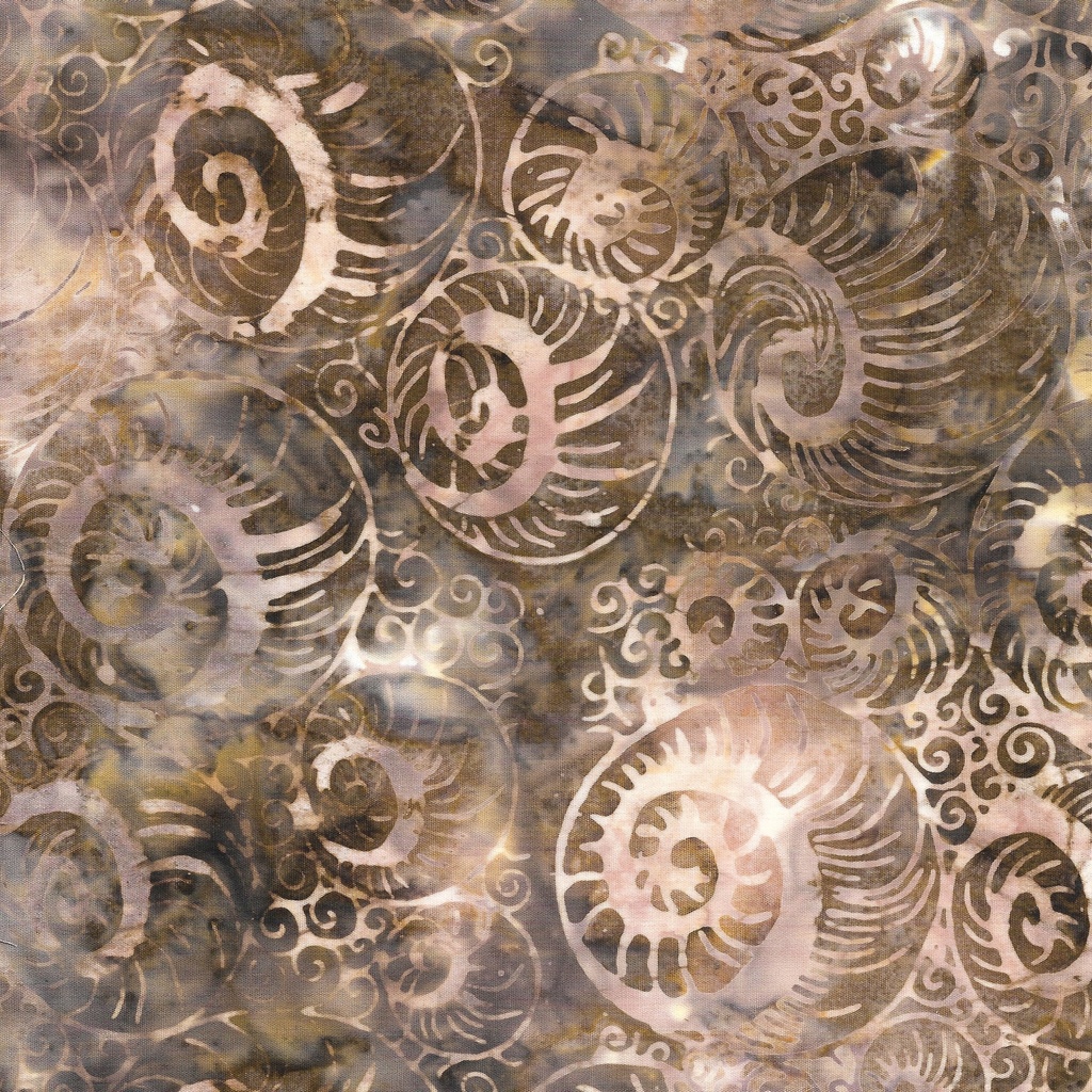 512406067 / Abstract Nautilus-Brown Toast