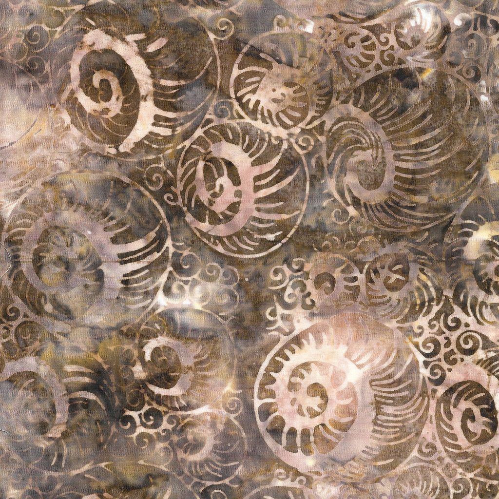 [512406067] 512406067 / Abstract Nautilus-Brown Toast