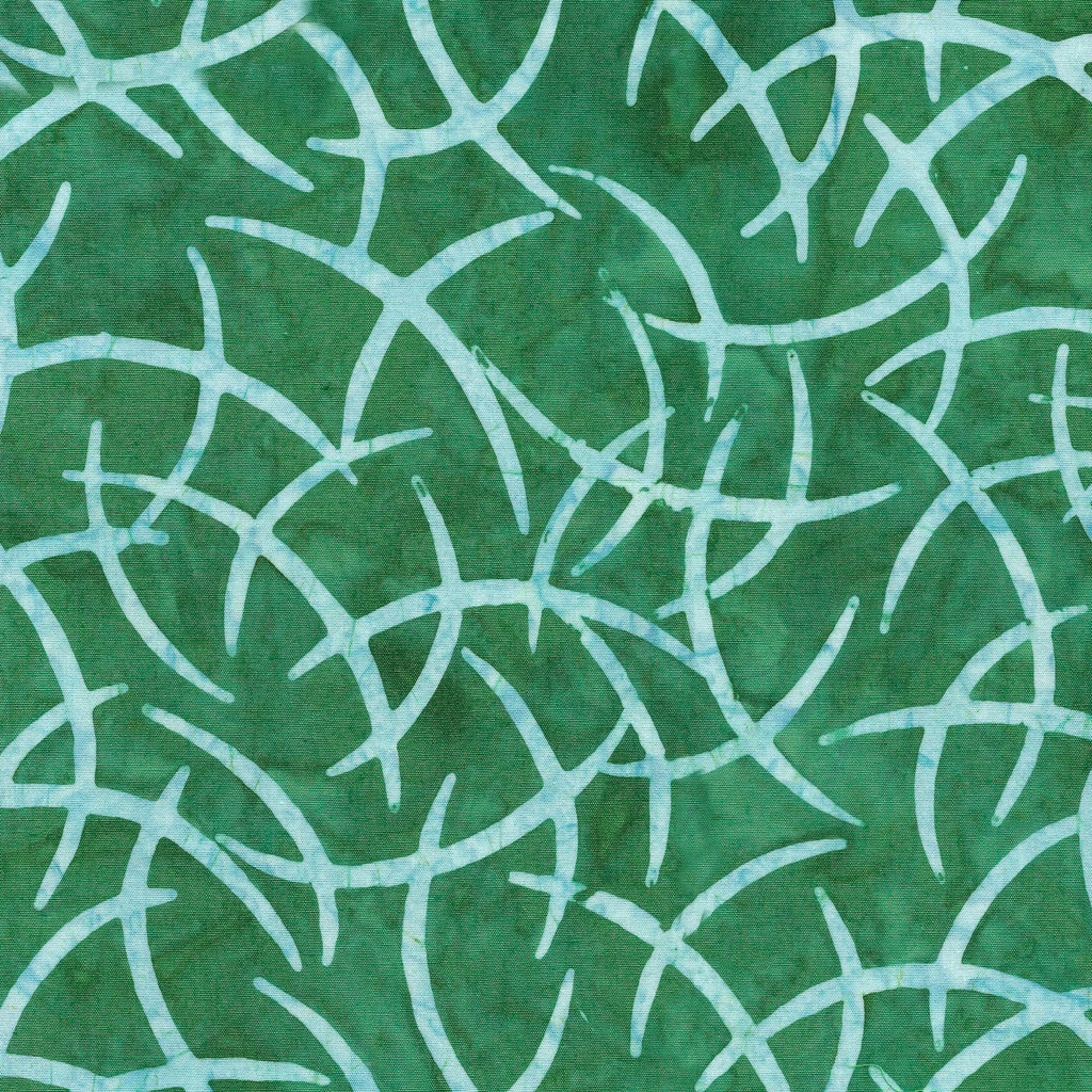 622306970 / Wisps-Teal Parakeet