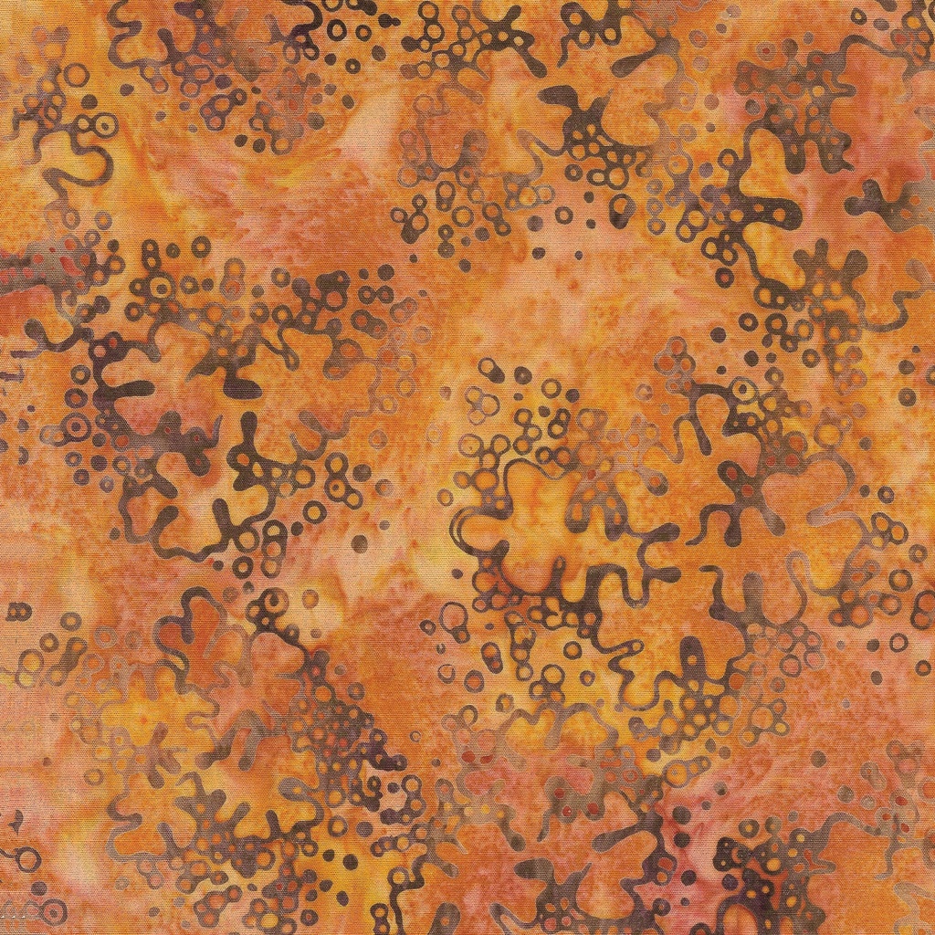 622404810 / Lichen-Multi Pink Orange Sunset